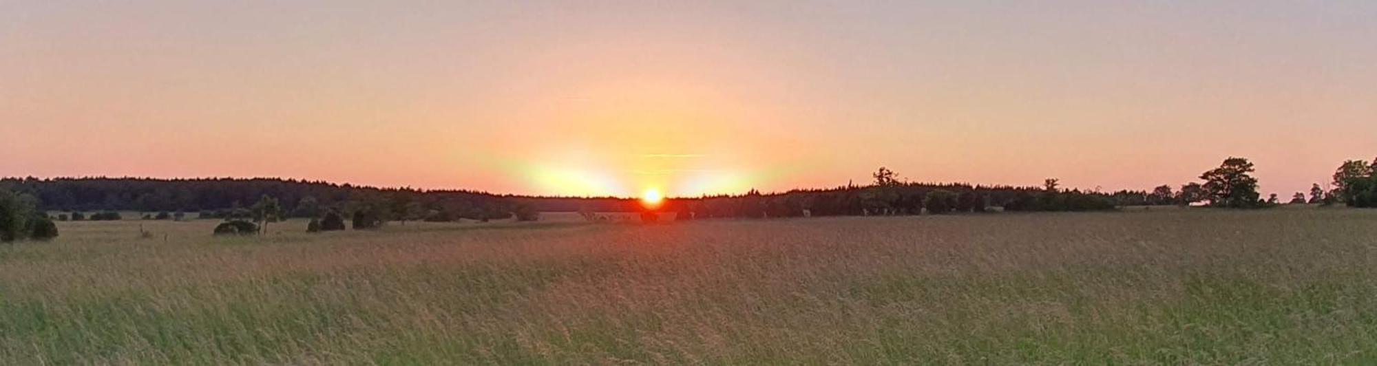 Willa Anni Tourism Farm Tammese Zewnętrze zdjęcie