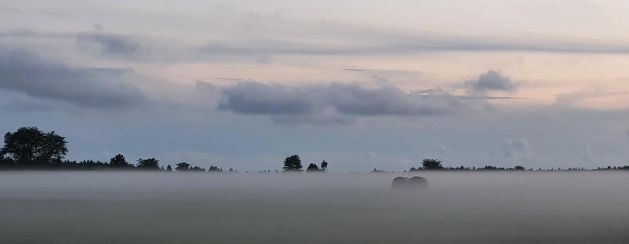 Willa Anni Tourism Farm Tammese Zewnętrze zdjęcie