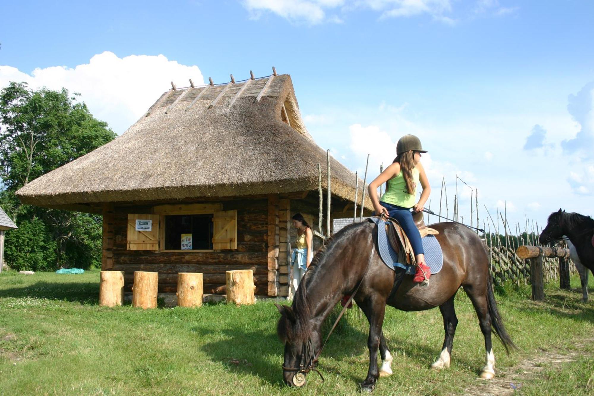 Willa Anni Tourism Farm Tammese Zewnętrze zdjęcie