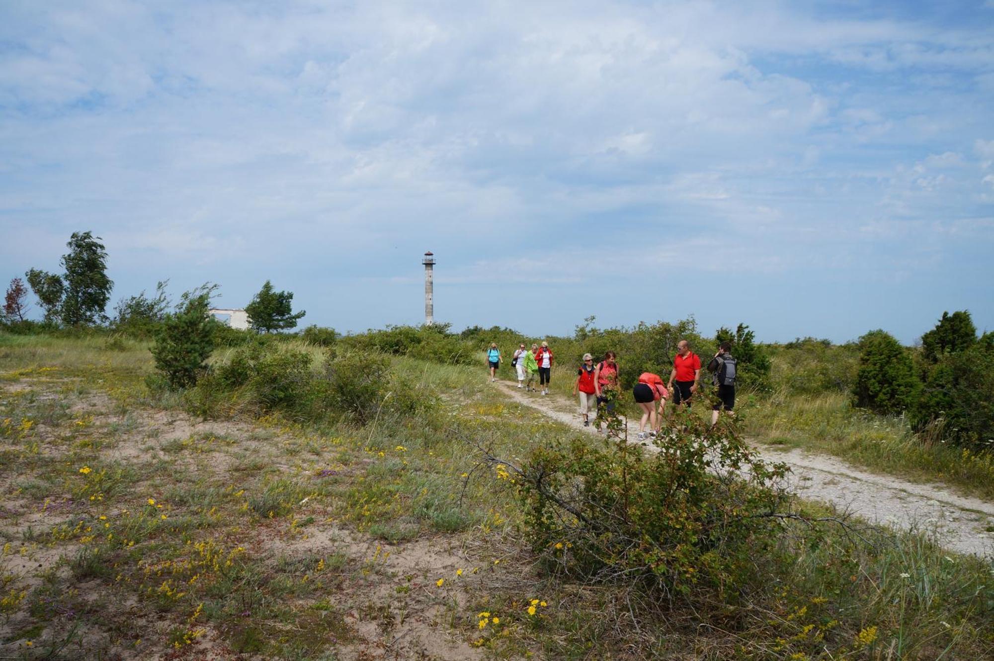 Willa Anni Tourism Farm Tammese Zewnętrze zdjęcie