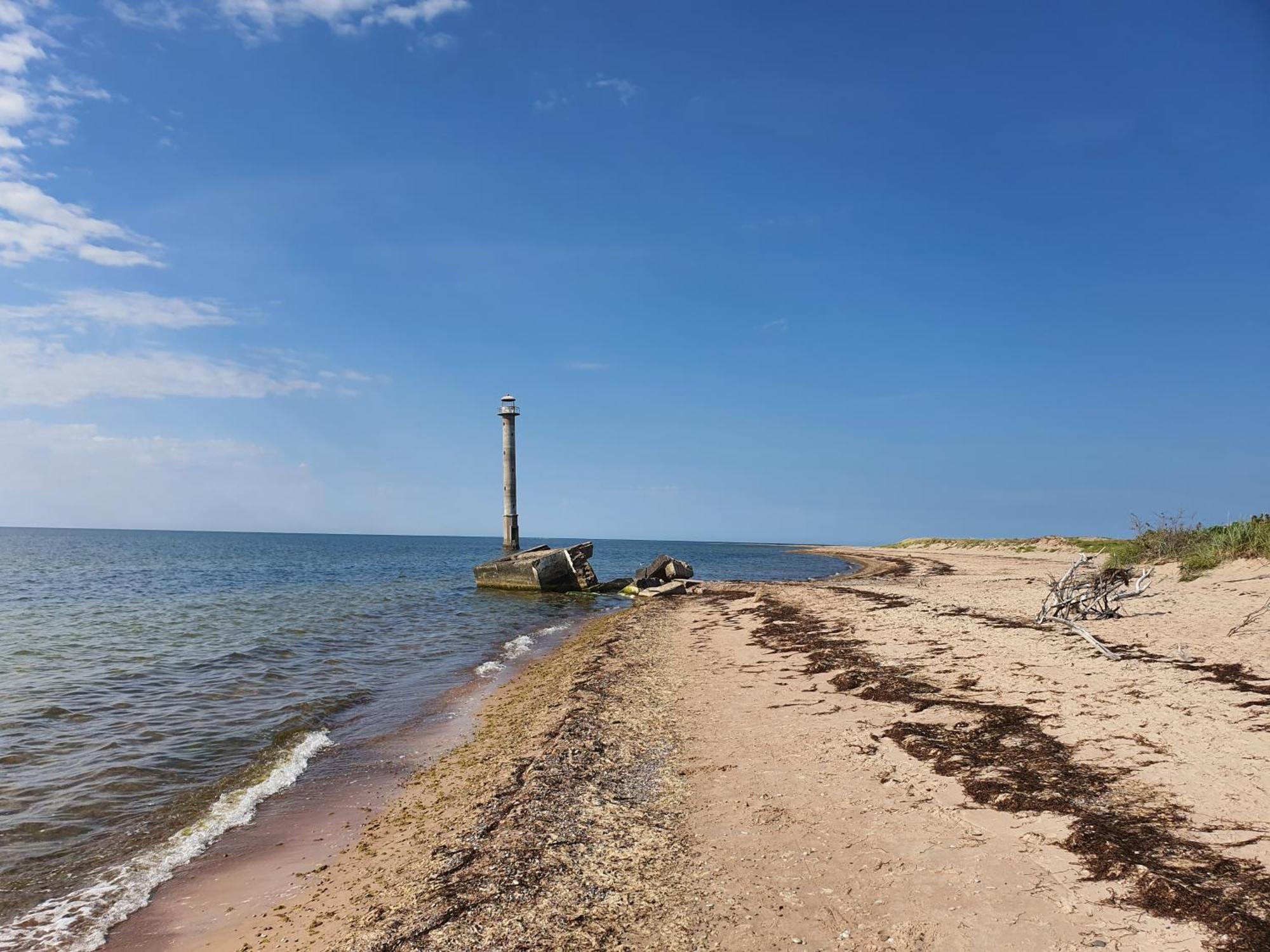 Willa Anni Tourism Farm Tammese Zewnętrze zdjęcie