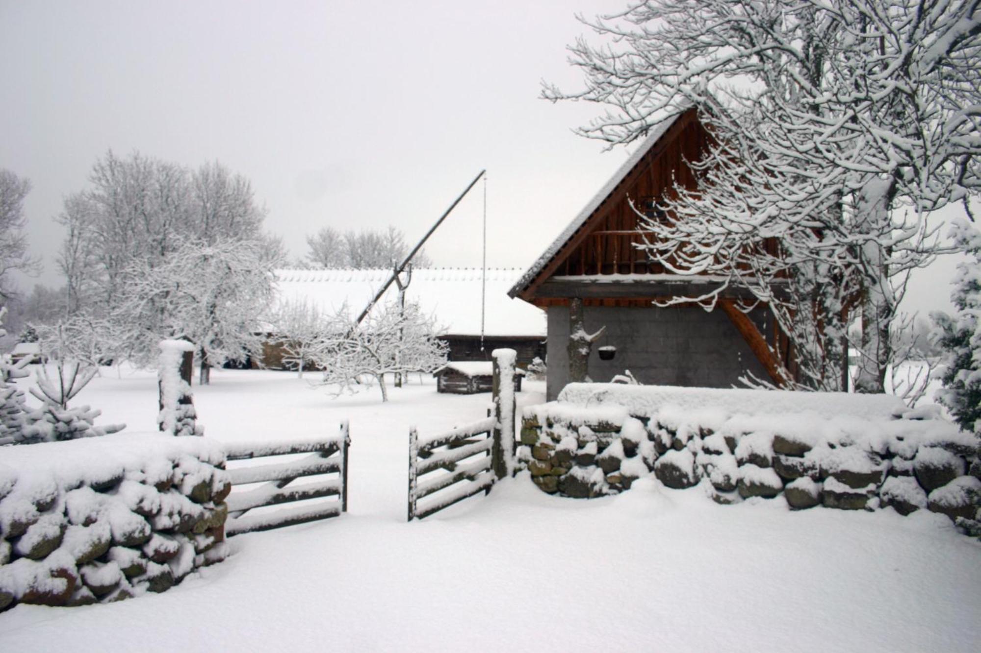 Willa Anni Tourism Farm Tammese Zewnętrze zdjęcie