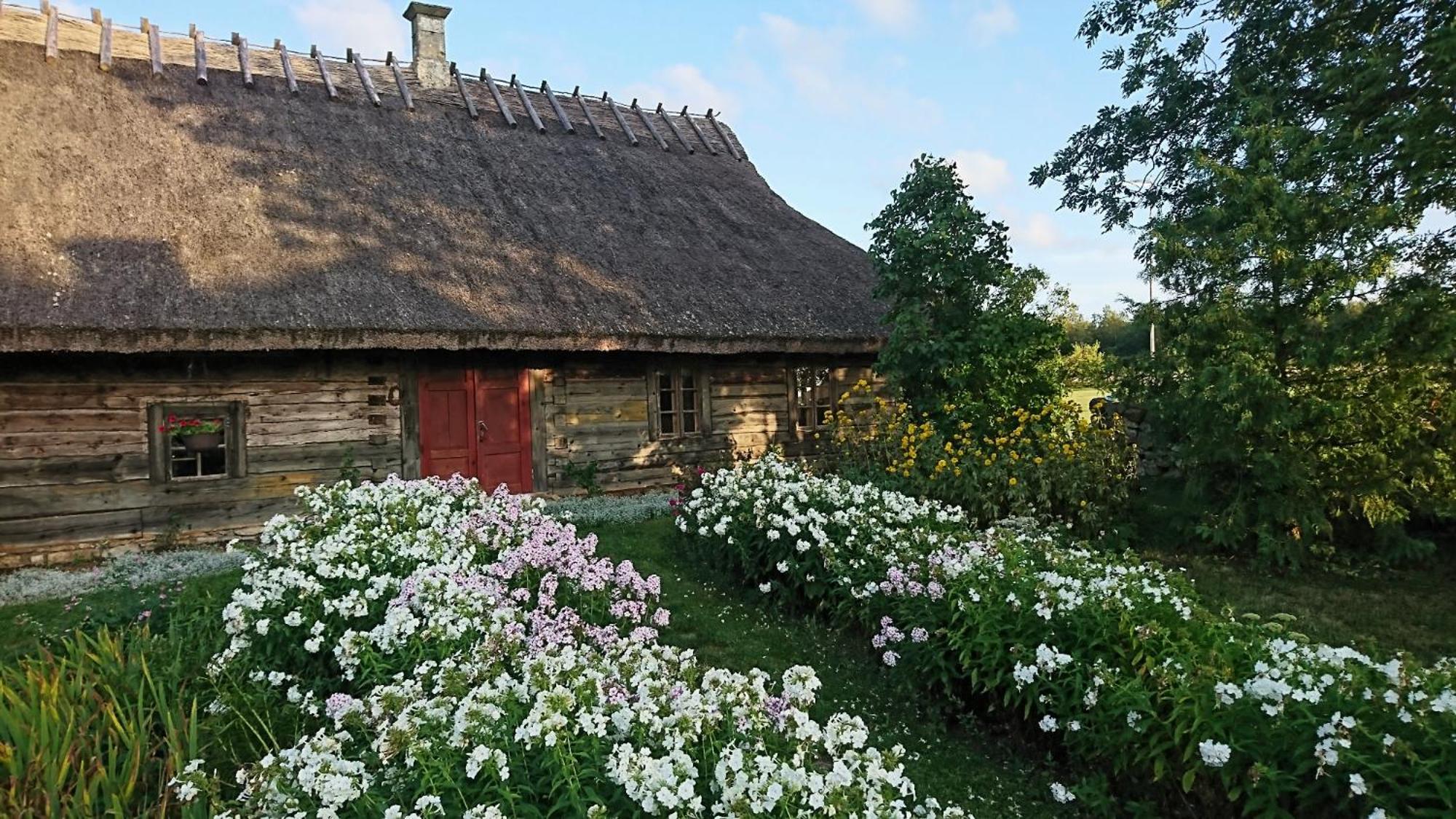 Willa Anni Tourism Farm Tammese Zewnętrze zdjęcie
