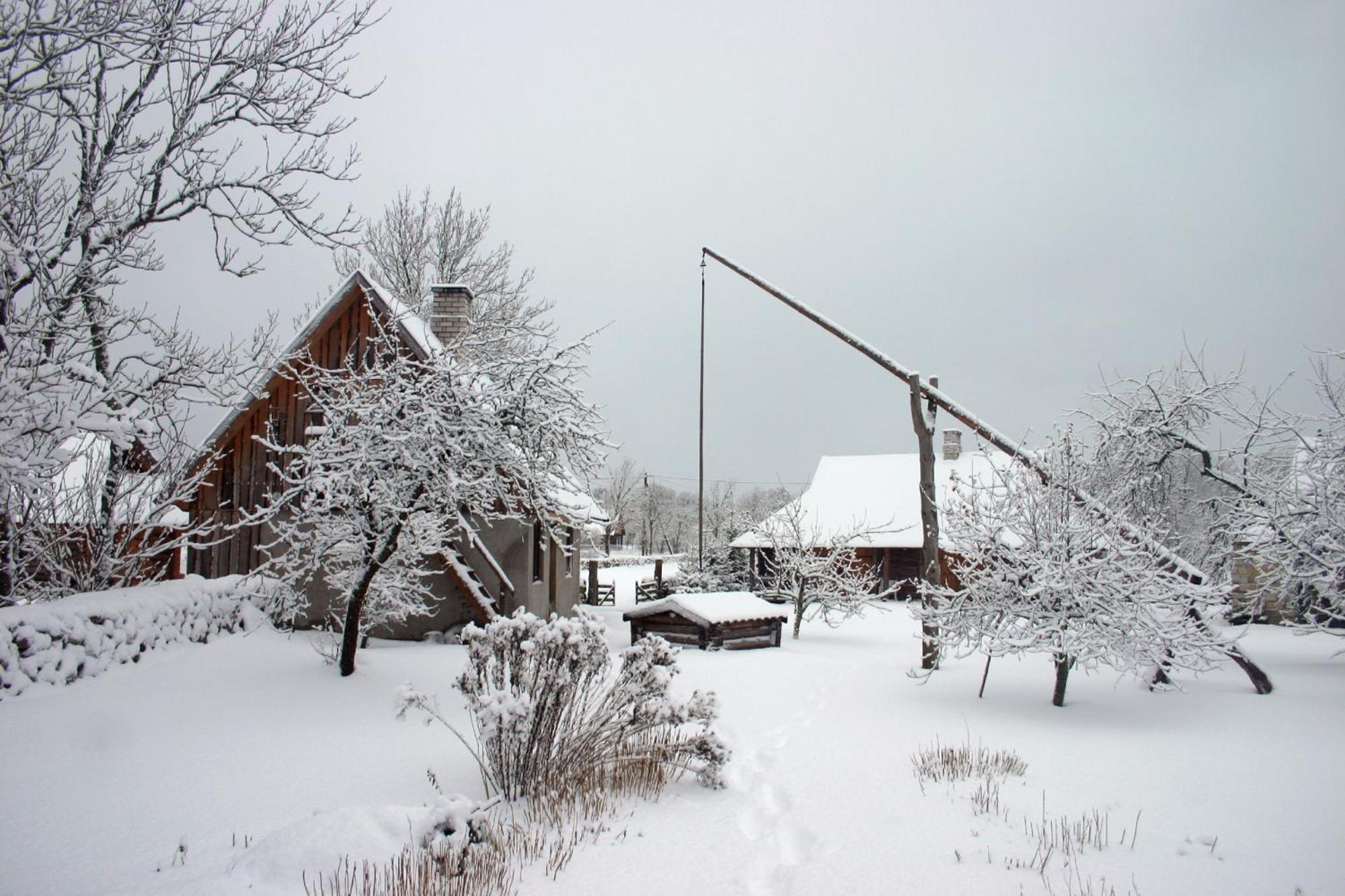 Willa Anni Tourism Farm Tammese Zewnętrze zdjęcie