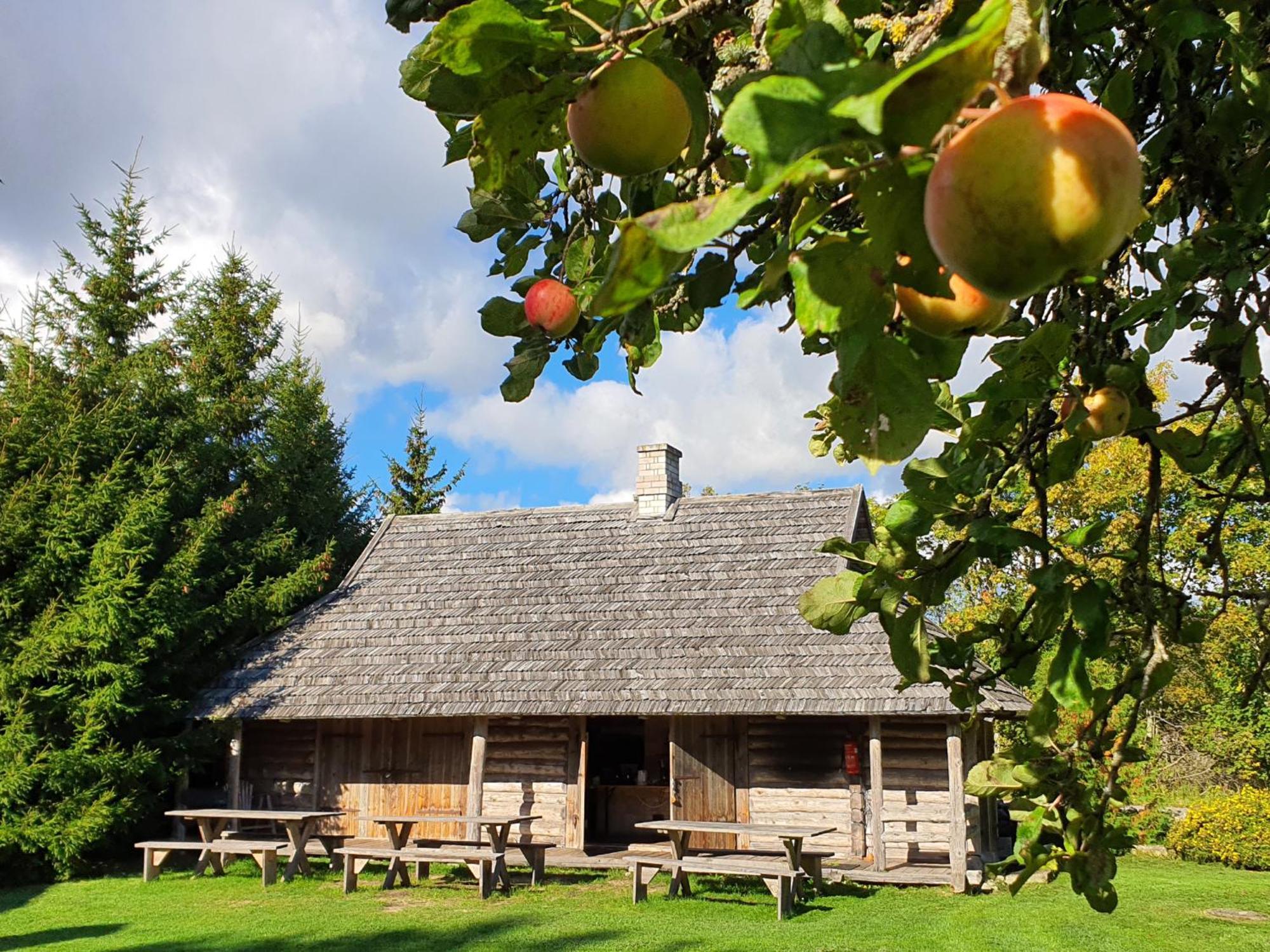 Willa Anni Tourism Farm Tammese Zewnętrze zdjęcie